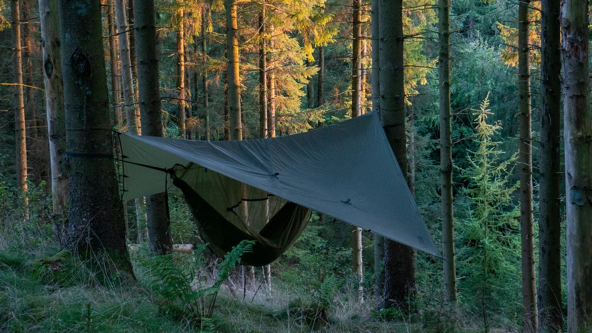 Nœuds de bivouac : bâche vert olive tendue au-dessus d’un hamac en forêt