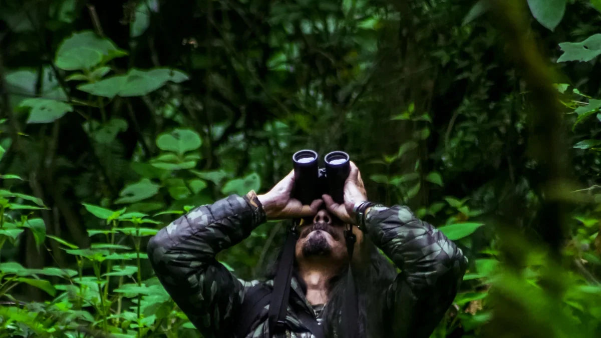 Observateur en poste de guet camouflé en lisière de forêt