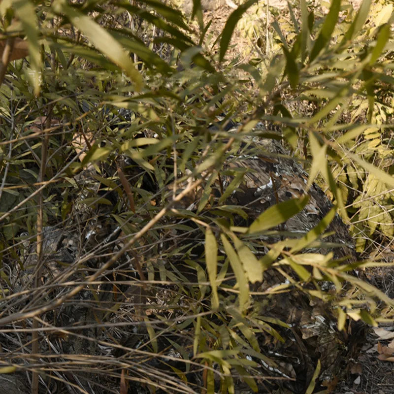 Ghillie Suit Sniper Camouflage