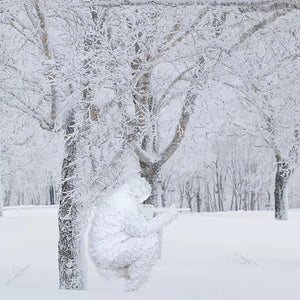 Ghillie Blanc